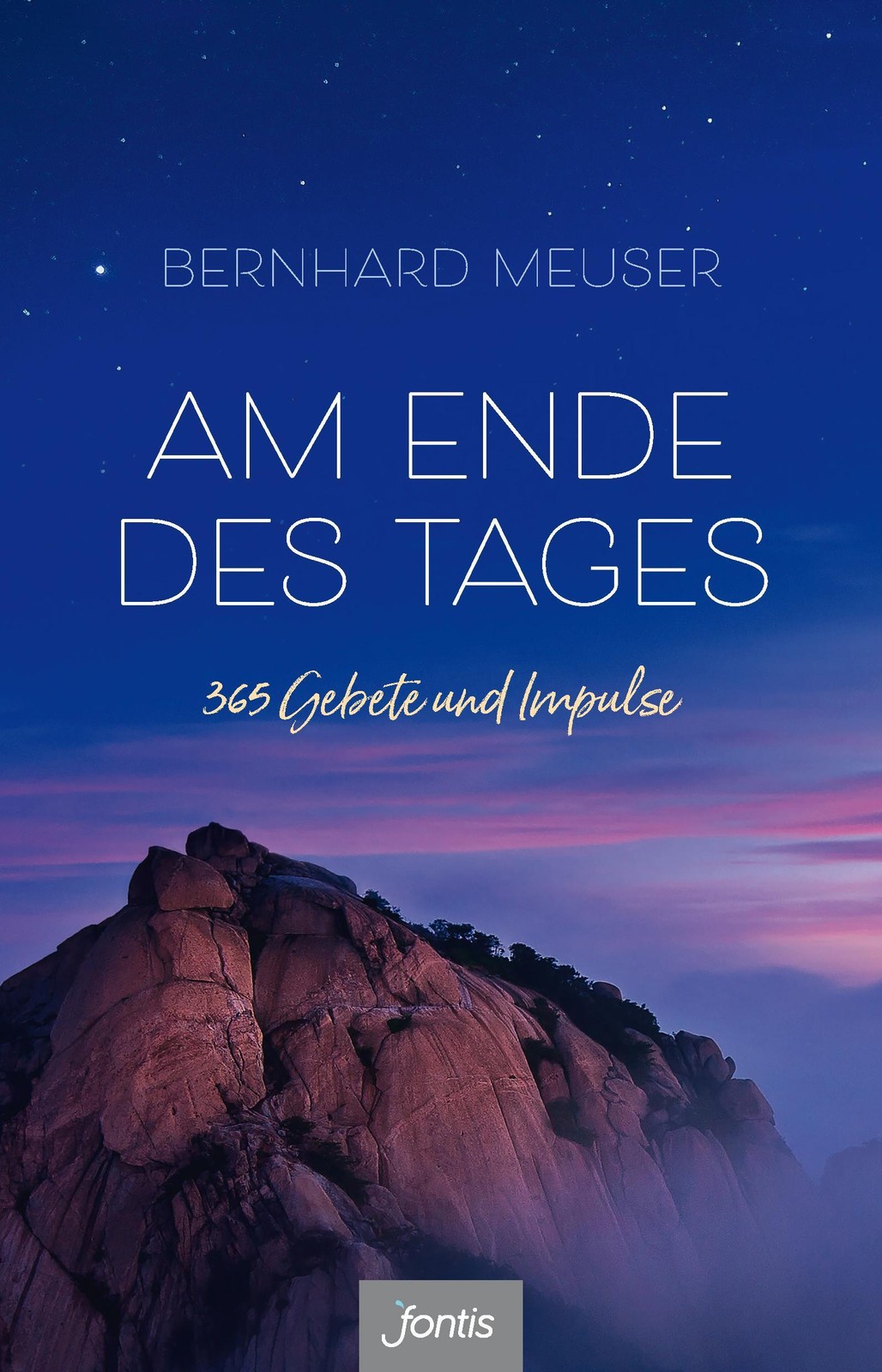 Am Ende des Tages Bernhard Meuser