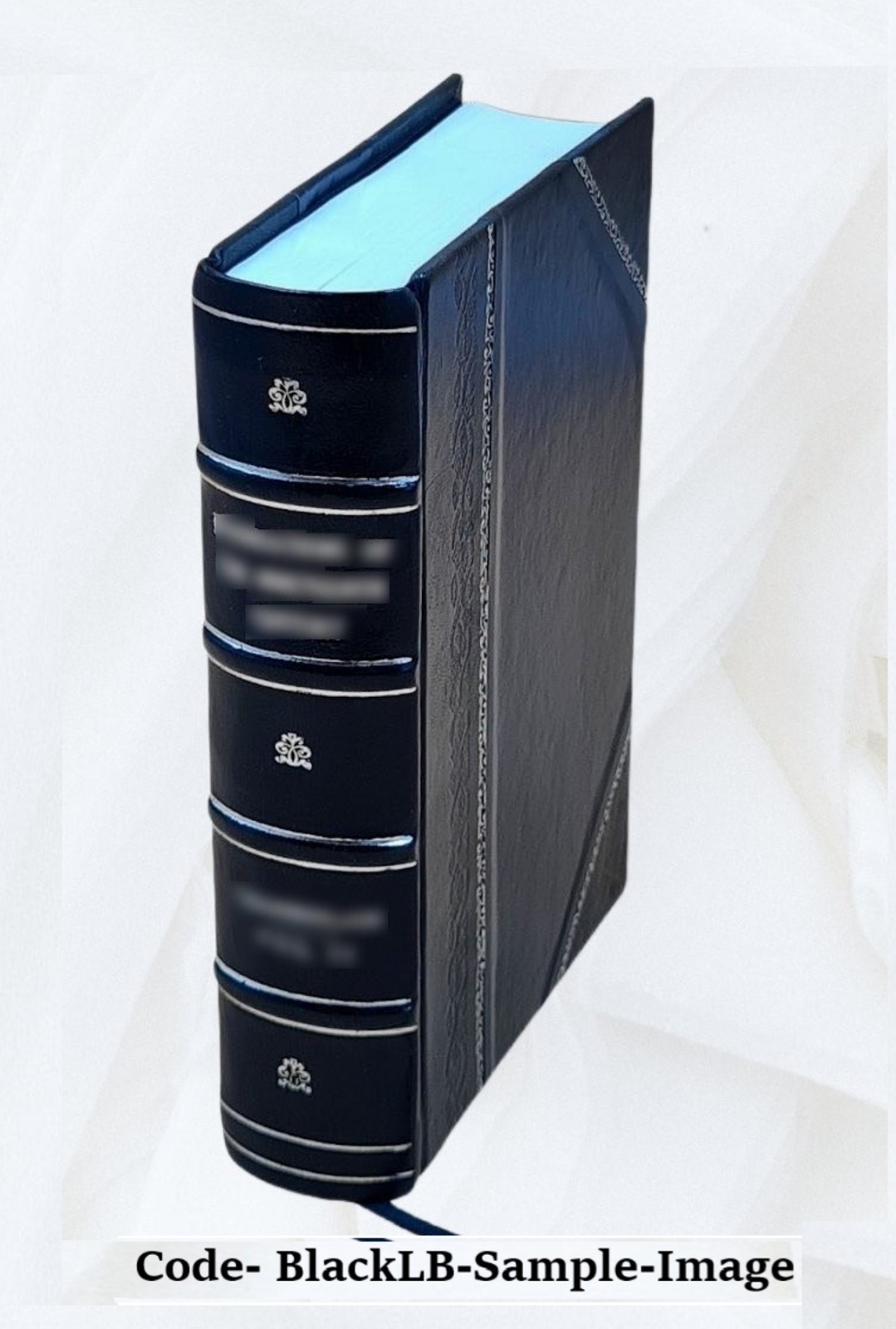 Actinida. Bd. 5,[2] 1890 by Danielssen, D. C. [Leather Bound]