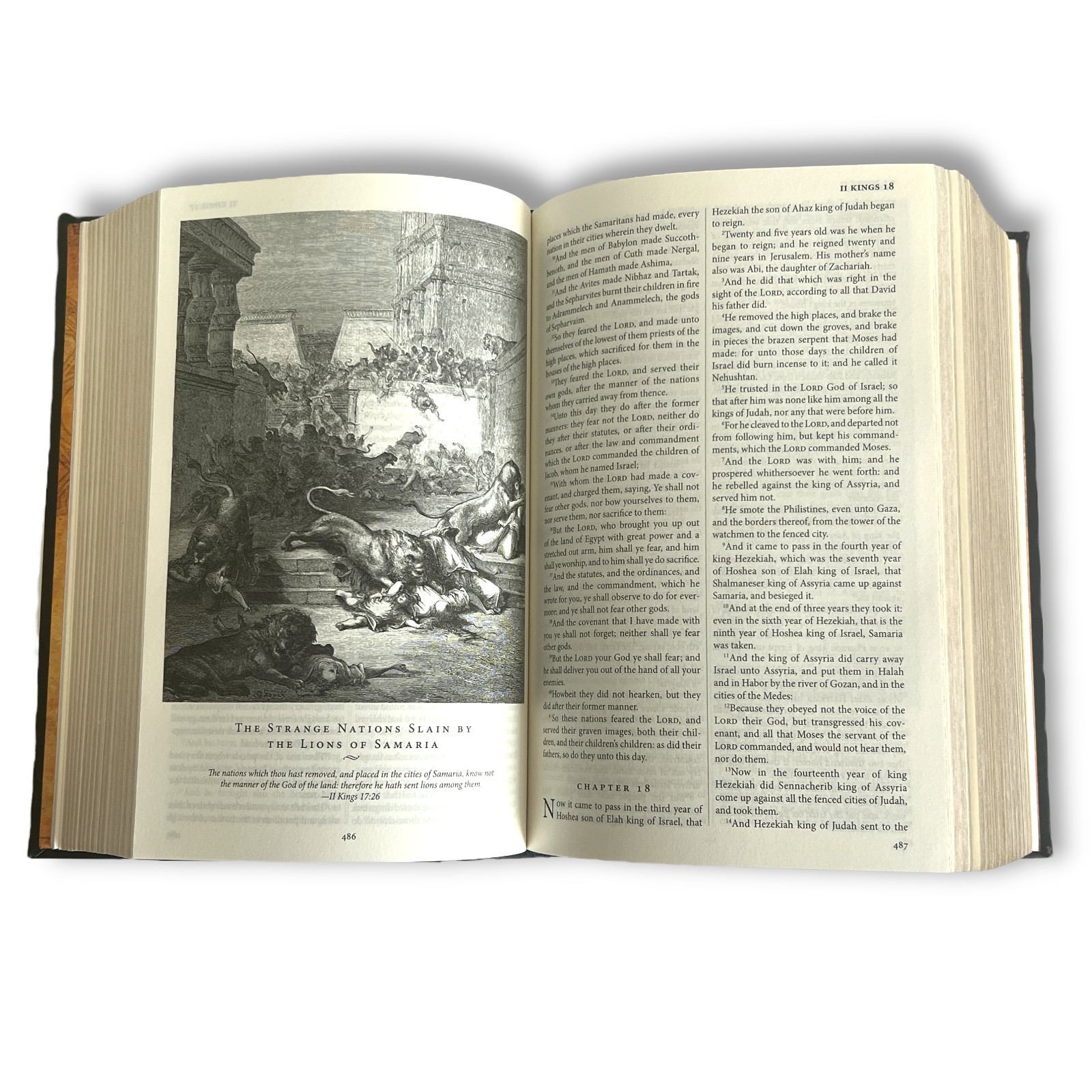 THE HOLY BIBLE King James Version KJV Deluxe Illustrated Gustave Dore NEW SEALED