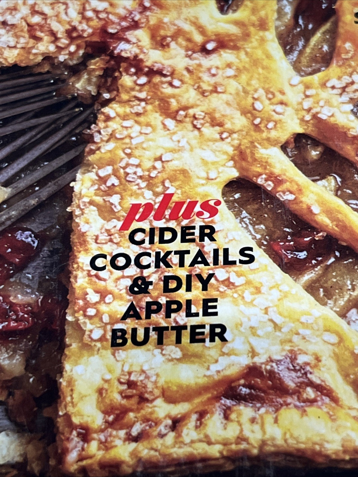 BH&G 100 Best Apple Recipes 96 Pages Of Apple Recipes