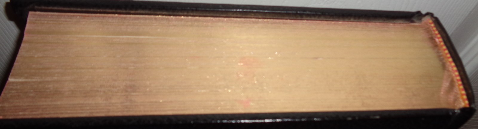 La Sagrada Biblia Edicao Da Palavra Viva Collectible Portuguese Bible (NICE)
