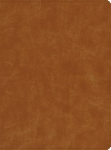 CSB Lifeway Women&rsquo;s Bible, Butterscotch Genuine Leather