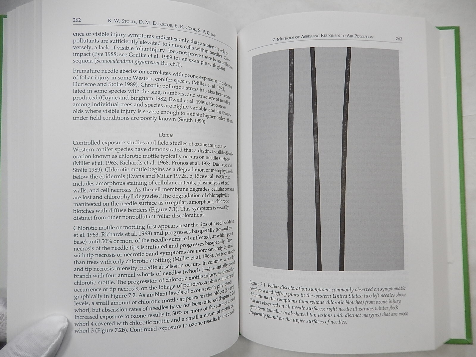 The Response of Western Forests to Air Pollution by D. Brinkley, 1992, Hardcover