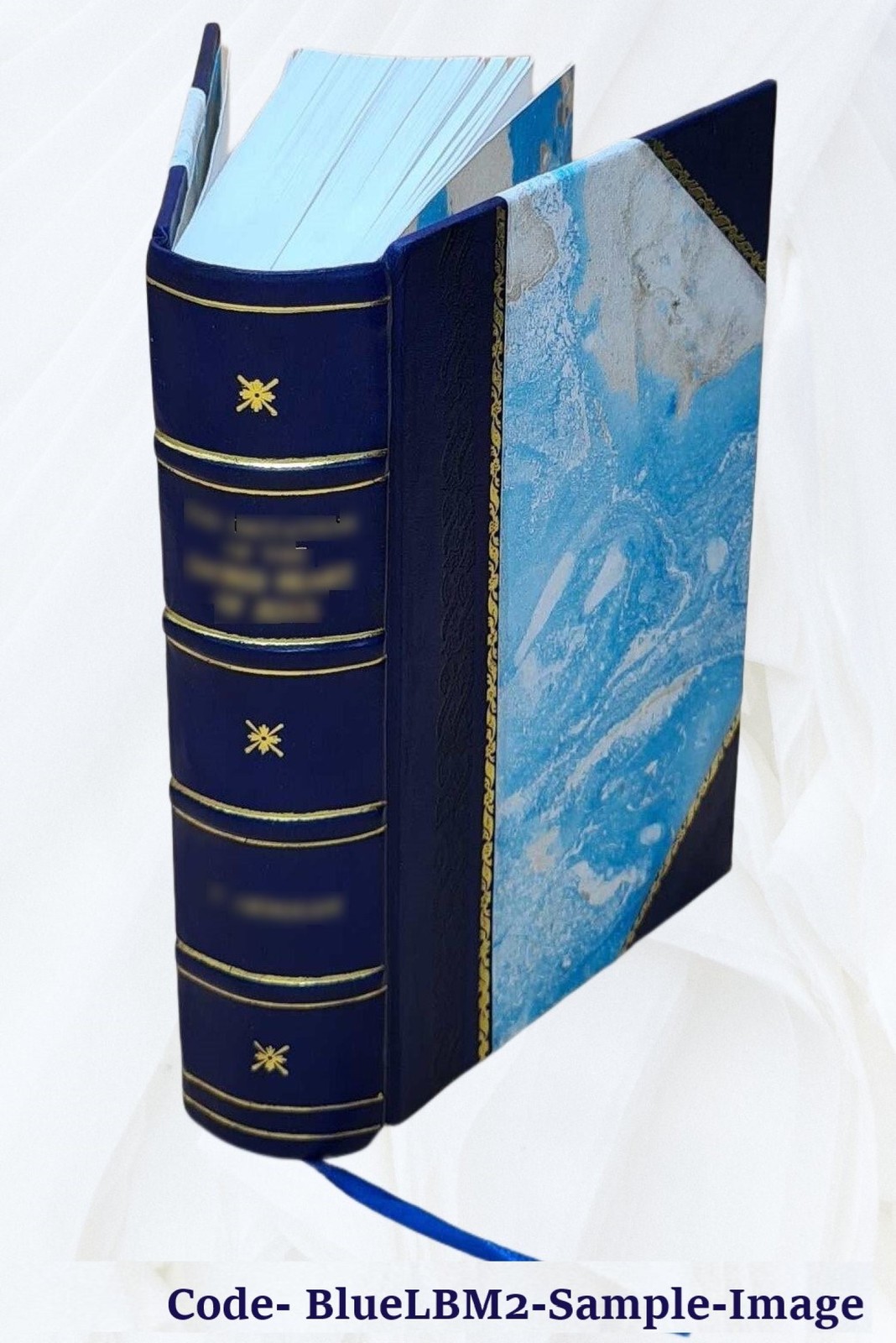 Vitalogy Or Encyclopedia Of Health And Home 1906 [Leather Bound]