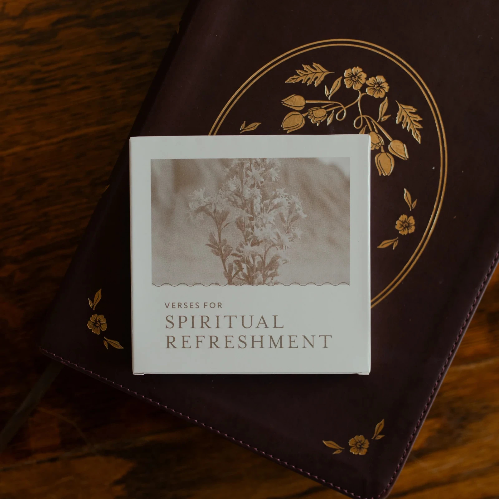The Daily Grace Co, Verses For Spirityal Refreshement