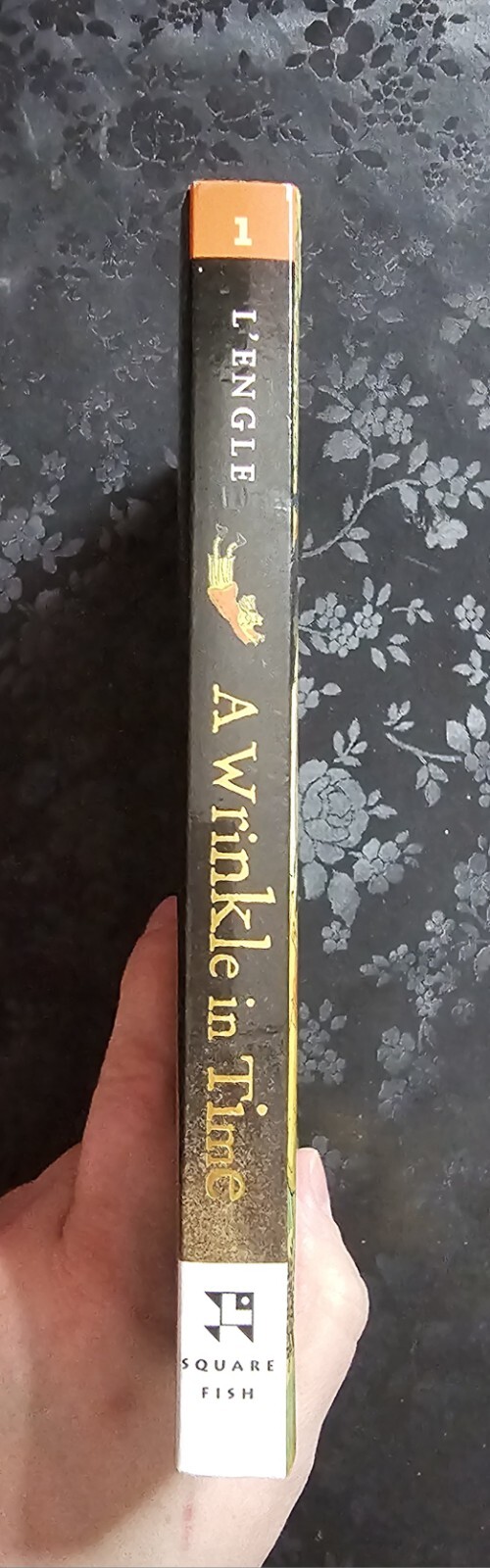 A WRINKLE IN TIME [Book One] Madeleine L&rsquo;Engle – First Square Fish Edition: 2007