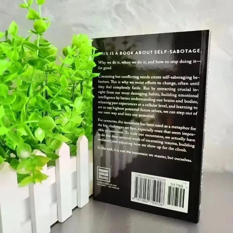 The Mountain is you by Brianna Wiest Paperback Book – Free Shipping US