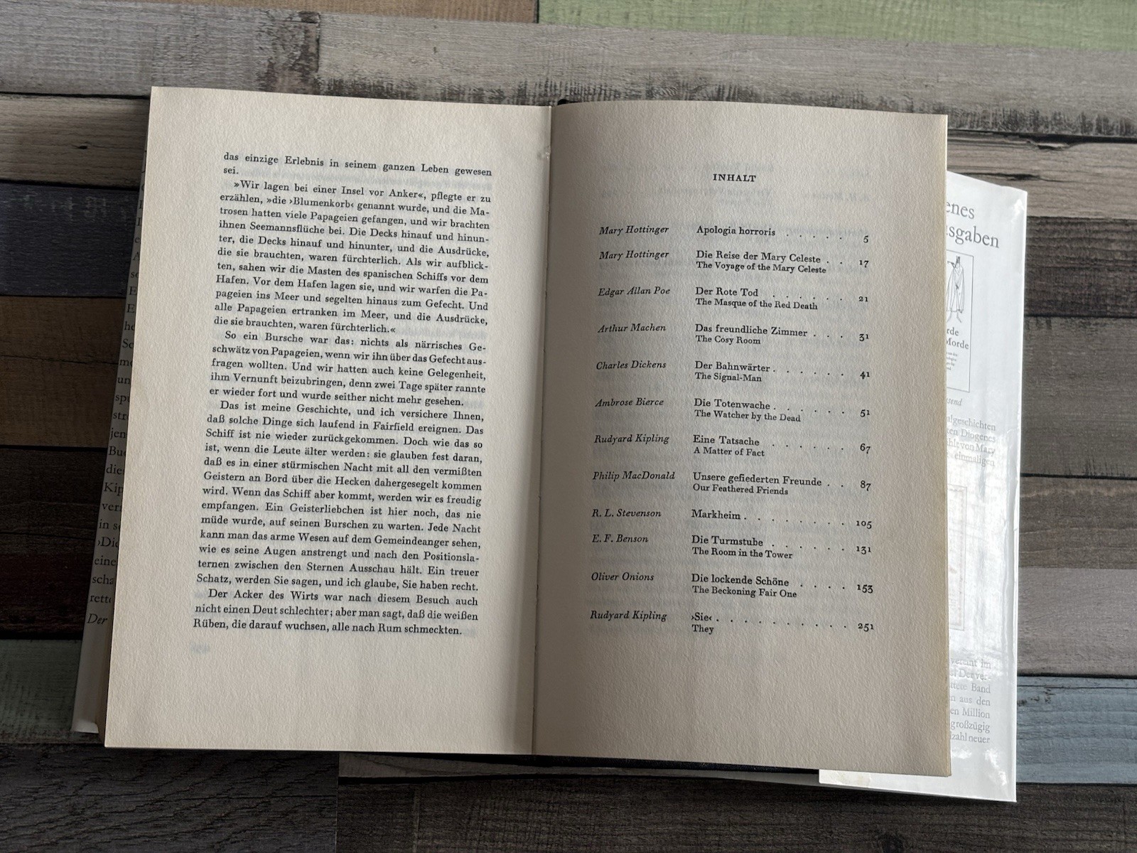 📚Buch Gruselgeschichten Poe bis Hemingway – Diogenes Sonderband mit Zeichnungen