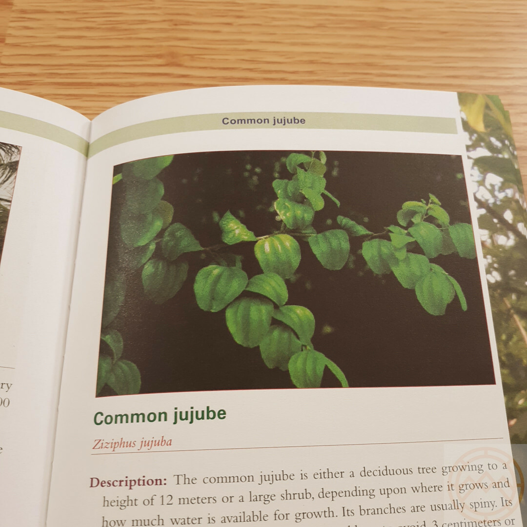 Complete Guide to Edible Plants Book Army Dept Medicine Poison Color Photos