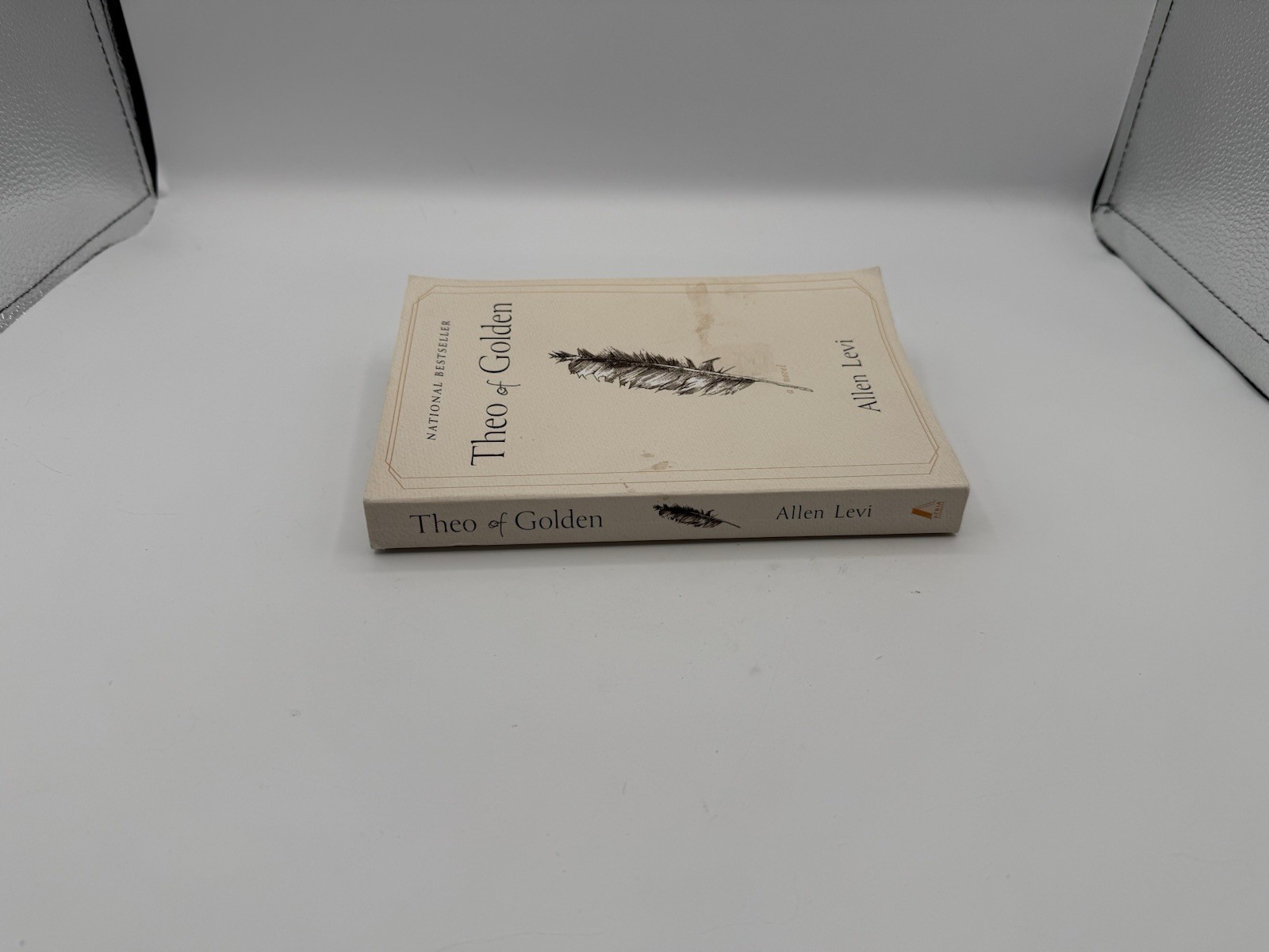 Theo of Golden : A Novel by Allen Levi (Paperback, English, Literary Fiction)