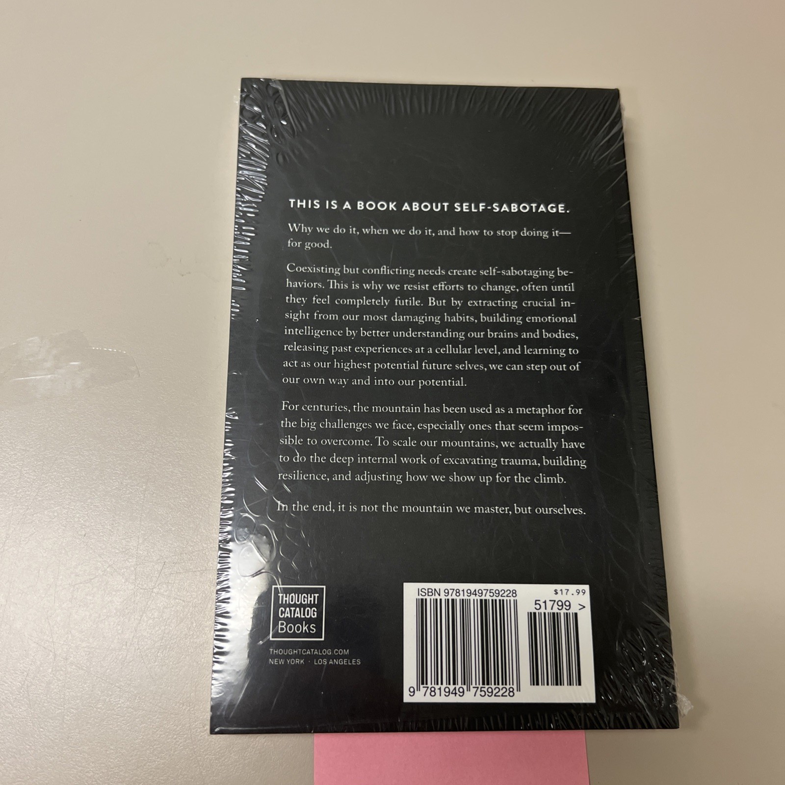 The Mountain is you by Brianna Wiest Paperback Book