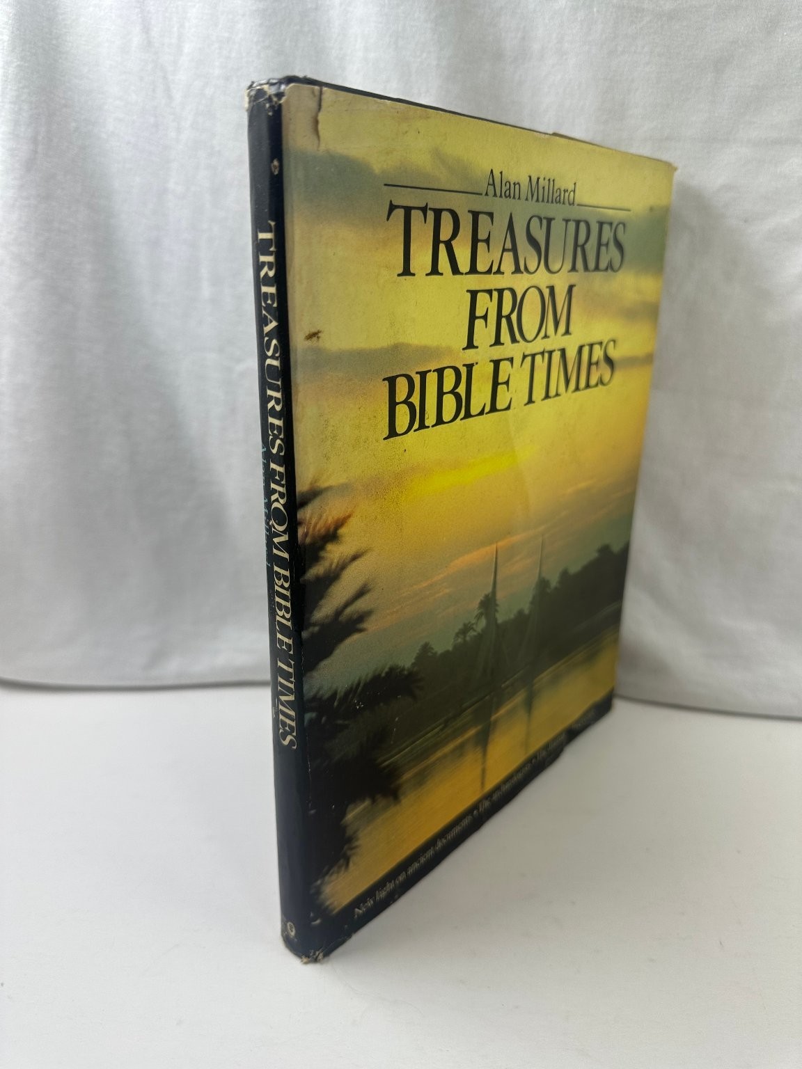 Treasures From Bible Times Alan Millard 1985 Illustrated Archaeology Lion