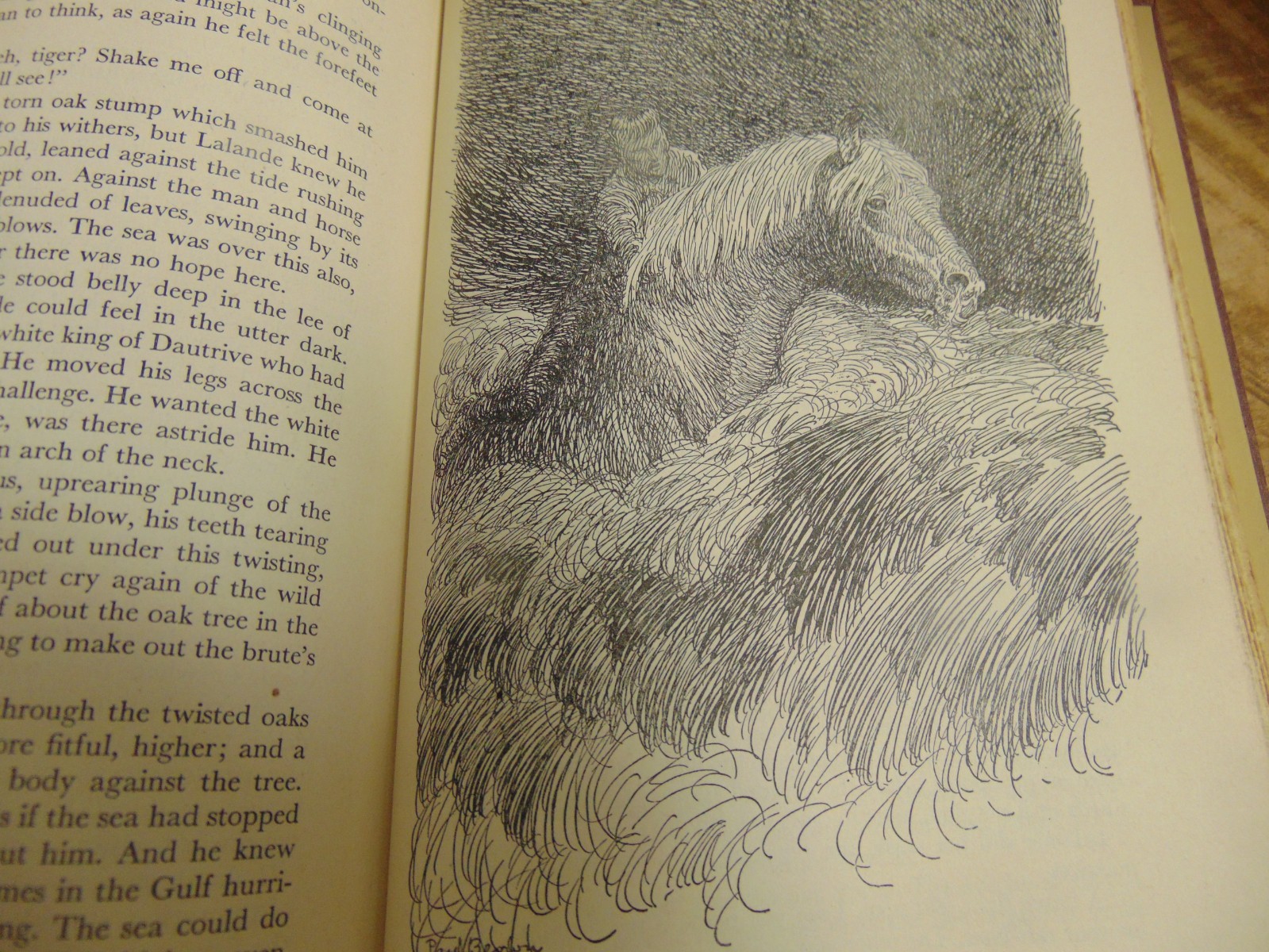 Great Horse Stories 1st Ed selected by Page Cooper Doubleday & Co 1946 HC
