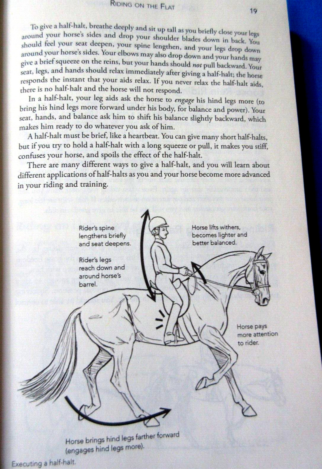 Lot of 3: US Pony Clubs Manual Horsemanship:Book 3 Advanced, Intermediate+ Basic