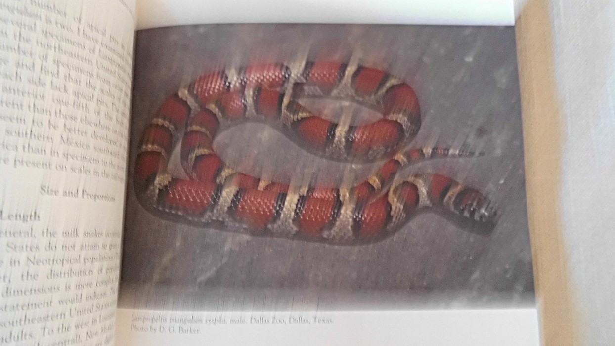Systematics and Natural History of the American Milk Snake, Lampropeltis triangu