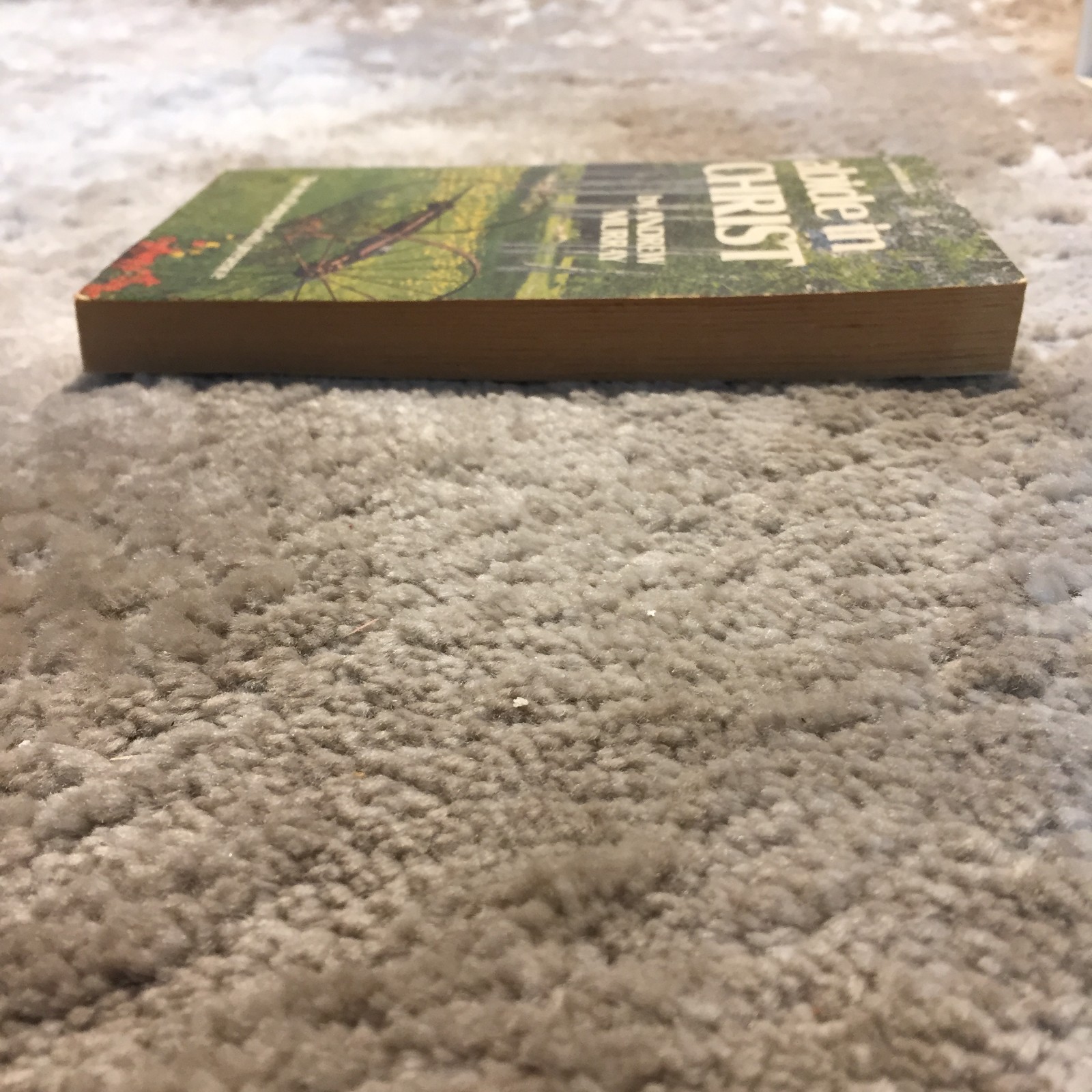 Abide In Christ Andrew Murray Whitaker House Union With Christ Paperback Book