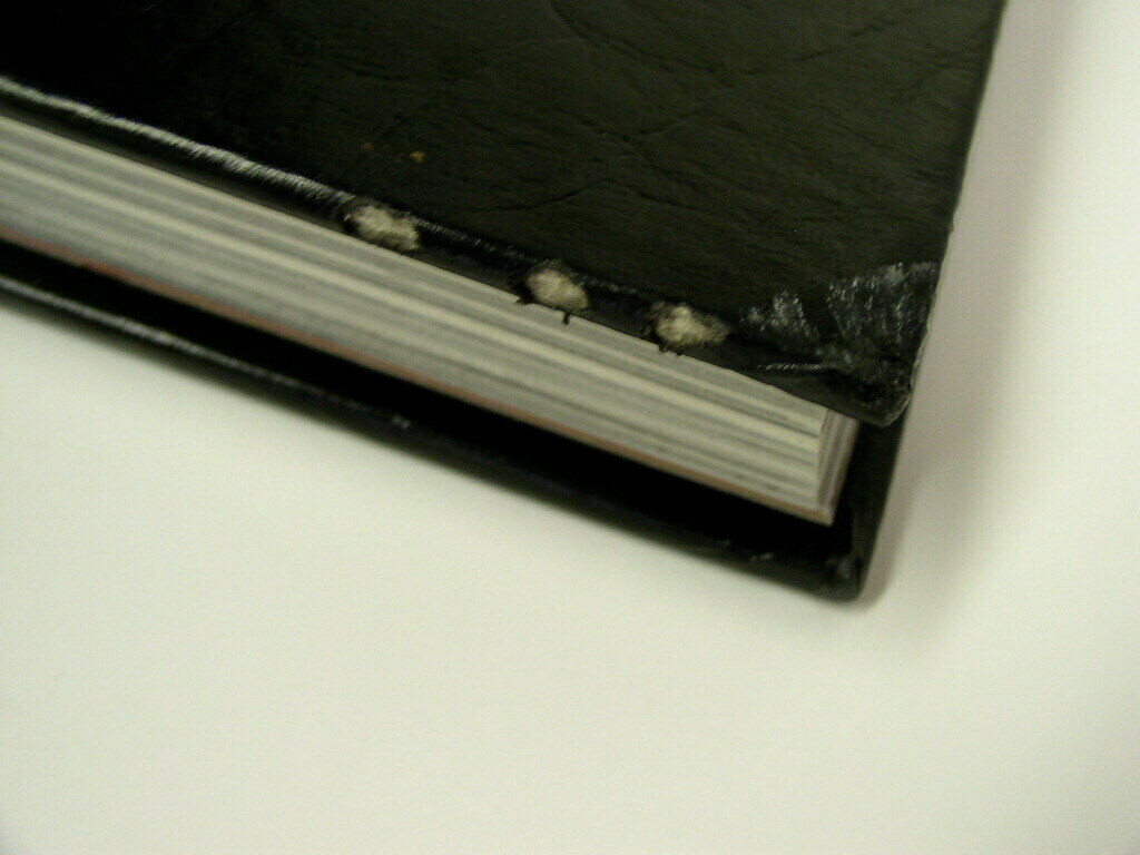 « The Last Word » 2002 Frederick High School Yearbook – Md – Maryland – 350 Pages!