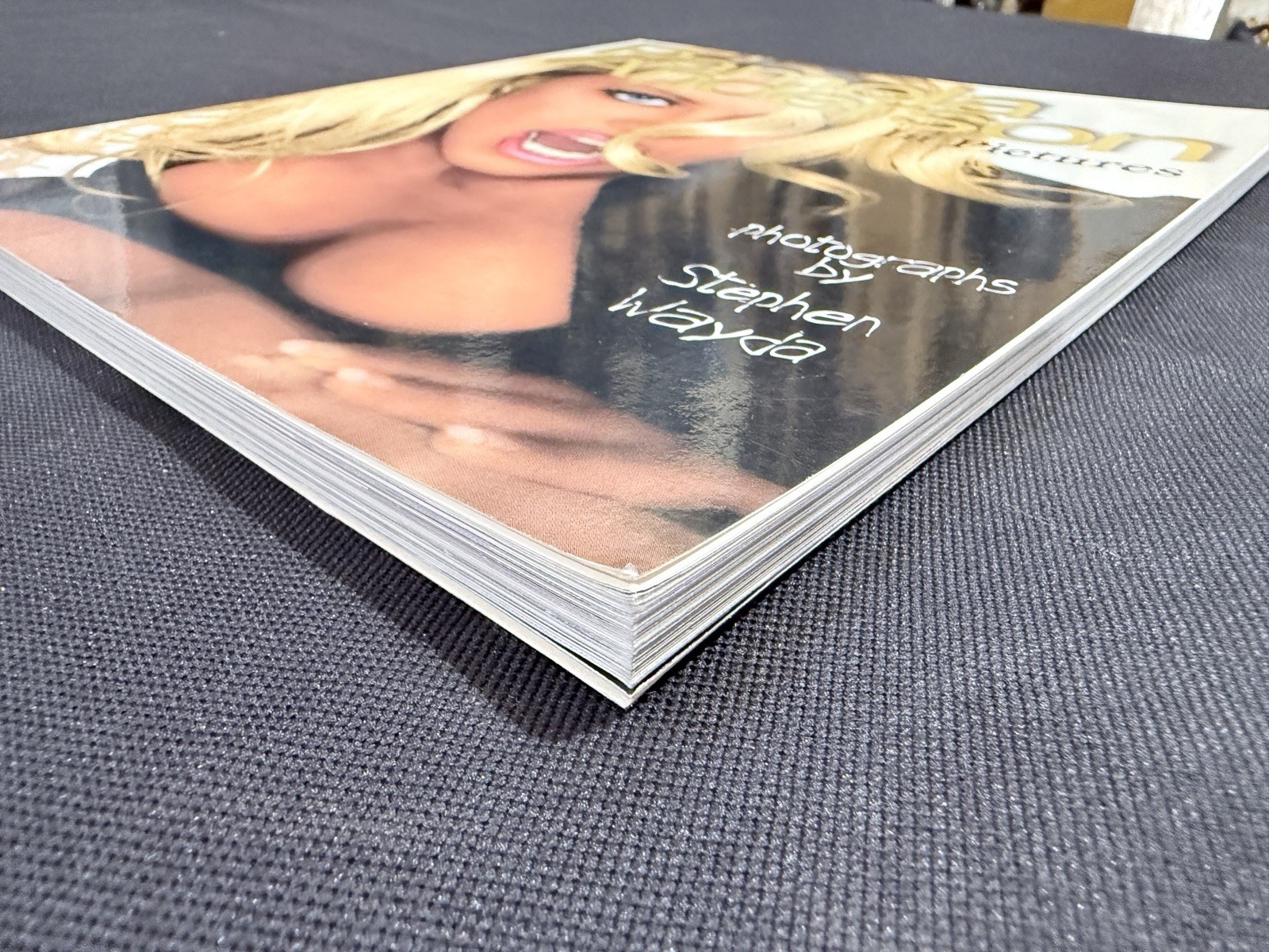 PAMELA ANDERSON IN PICTURES 1996 PAPERBACK BOOK BY STEPHEN WAYDA Excellent Cond