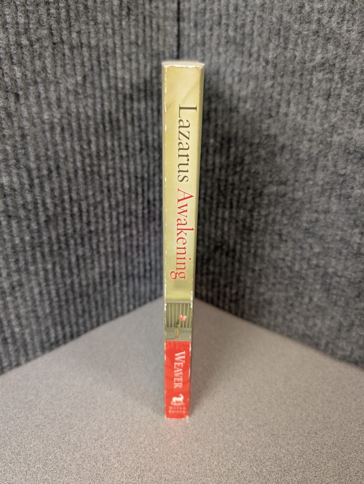 Lazarus Awakening by Joanna Weaver (Paperback, 2011) – Includes Study Guide