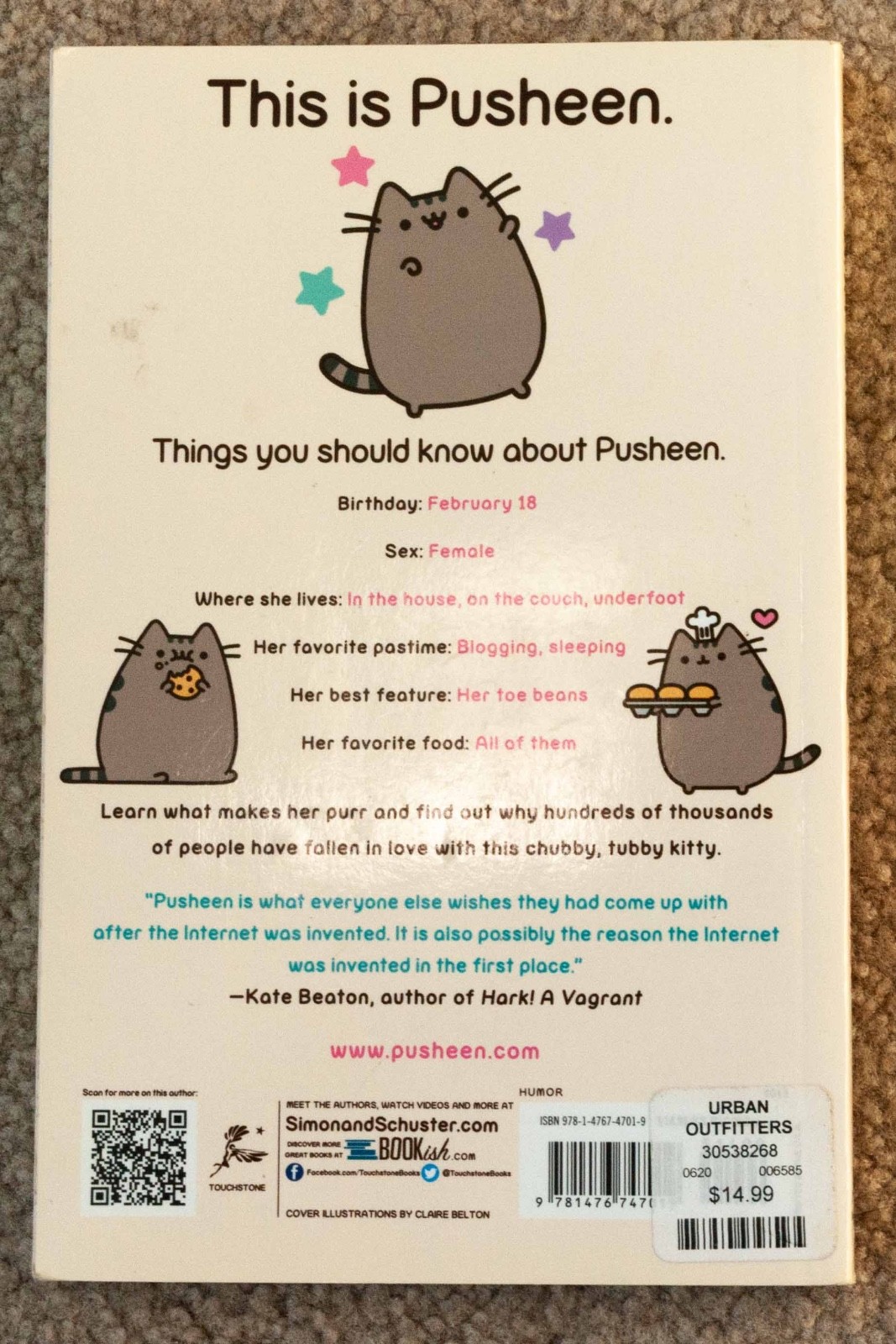 I Am Pusheen the Cat by Claire Belton – Paperback, 175 pages