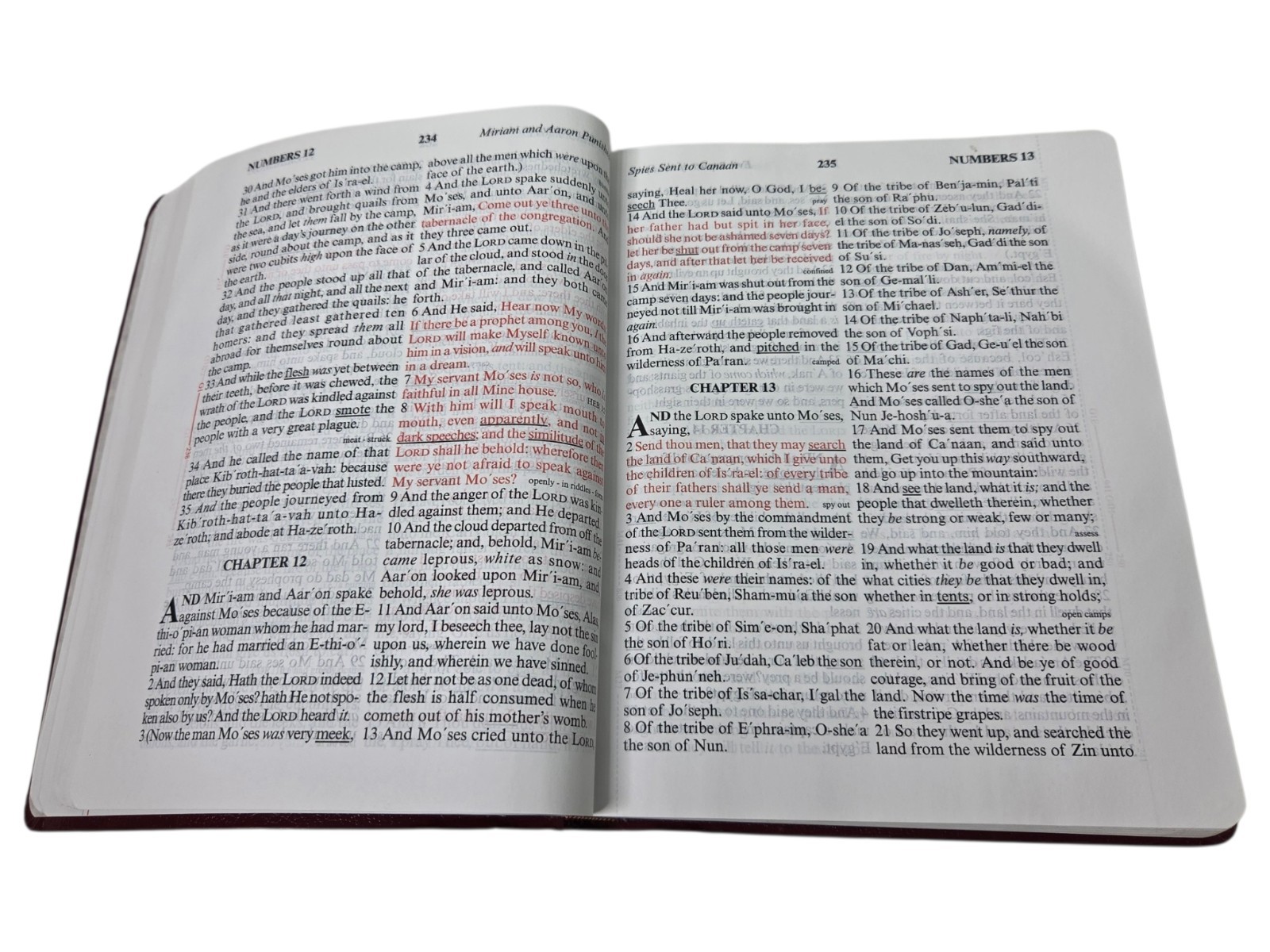 God&rsquo;s Holy Bible KJV Special Margin Edition LARGE PRINT 1999 Burgundy Red Letter