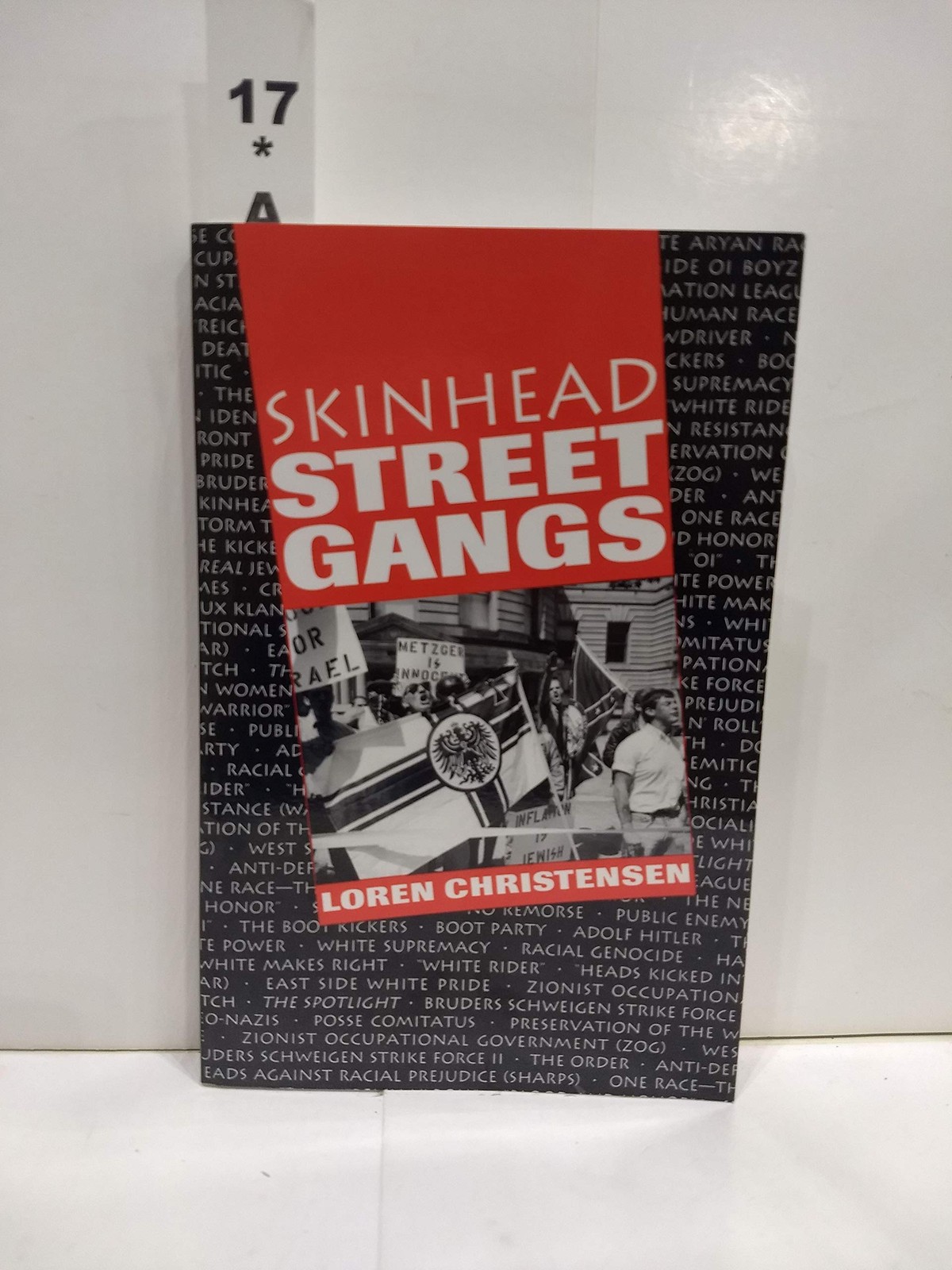 Skinhead Street Gangs