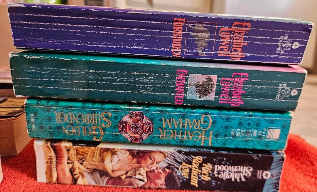 Used Romance Books – Johanna Lindsey, Bertrice Small, and other authors