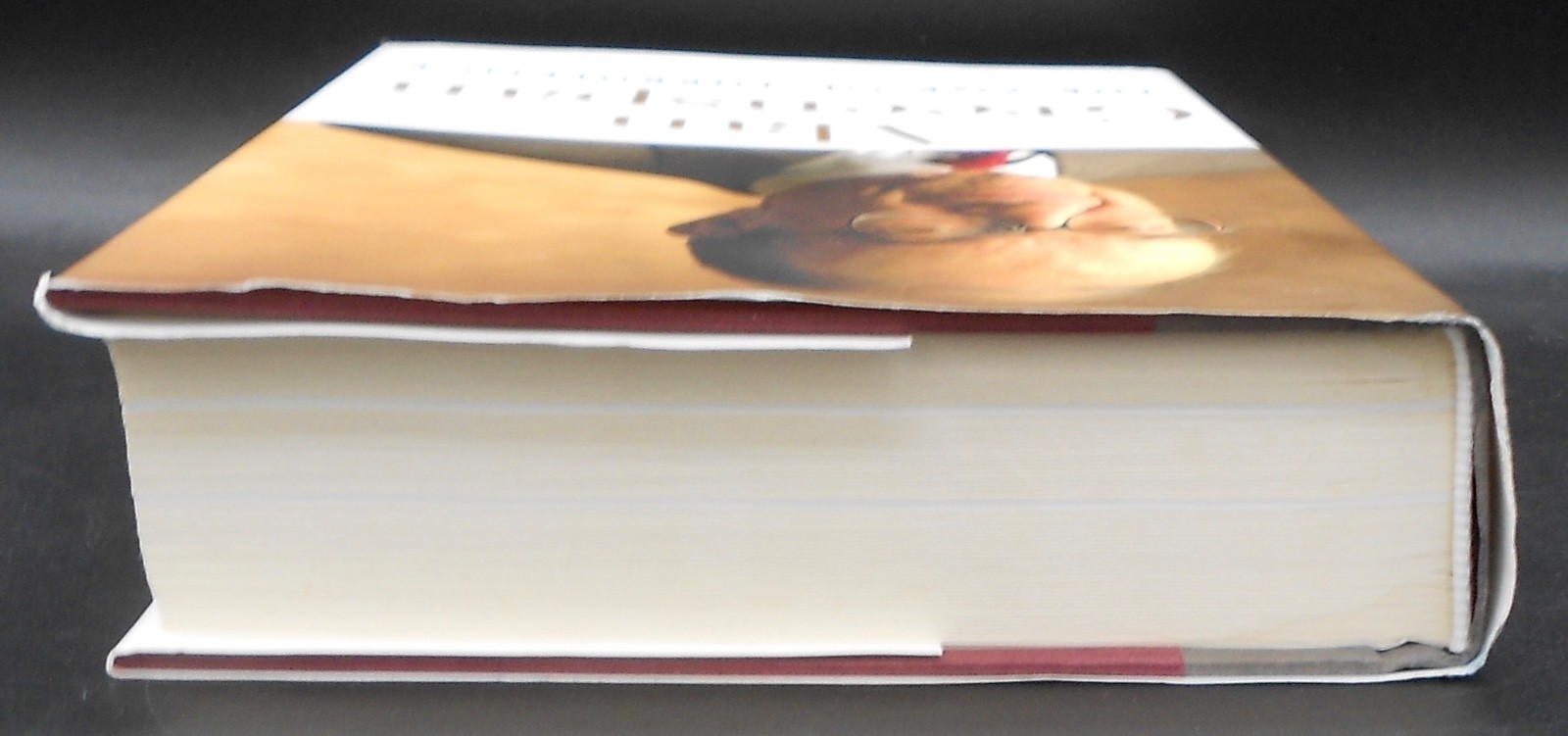 THE AGE OF TURBULENCE by ALAN GREENSPAN 2007, SIGNED HARD COVER/DJ VERY GOOD