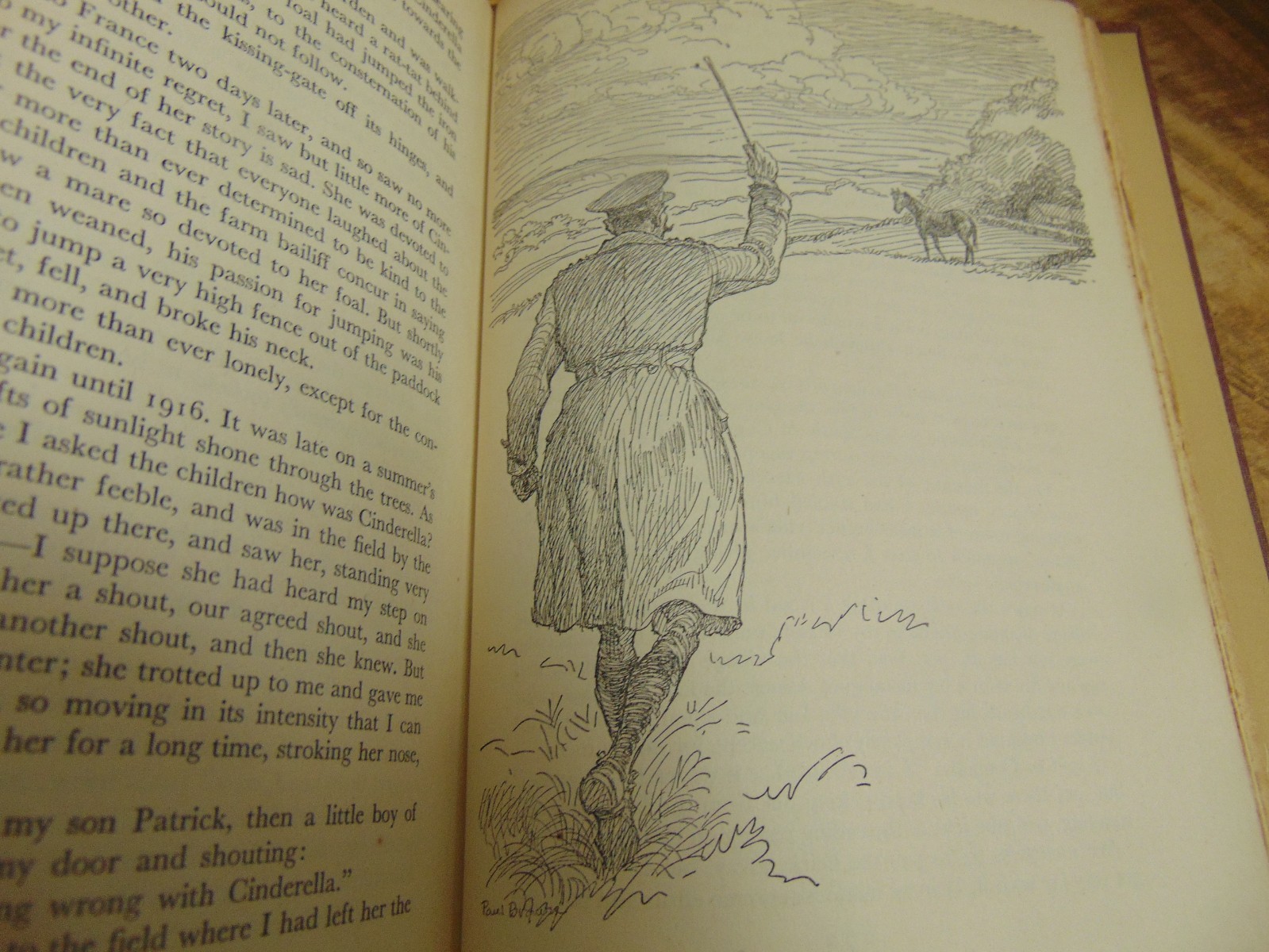 Great Horse Stories 1st Ed selected by Page Cooper Doubleday & Co 1946 HC