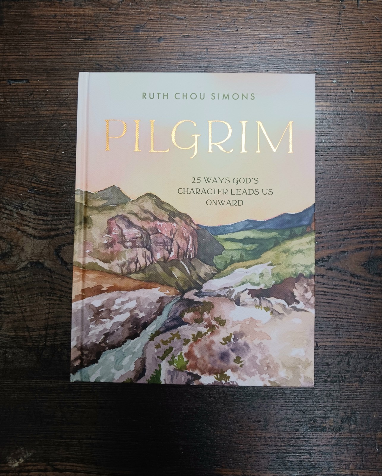 Pilgrim: 25 Ways God&rsquo;s Character Leads Us Onward by Ruth Chou Simons