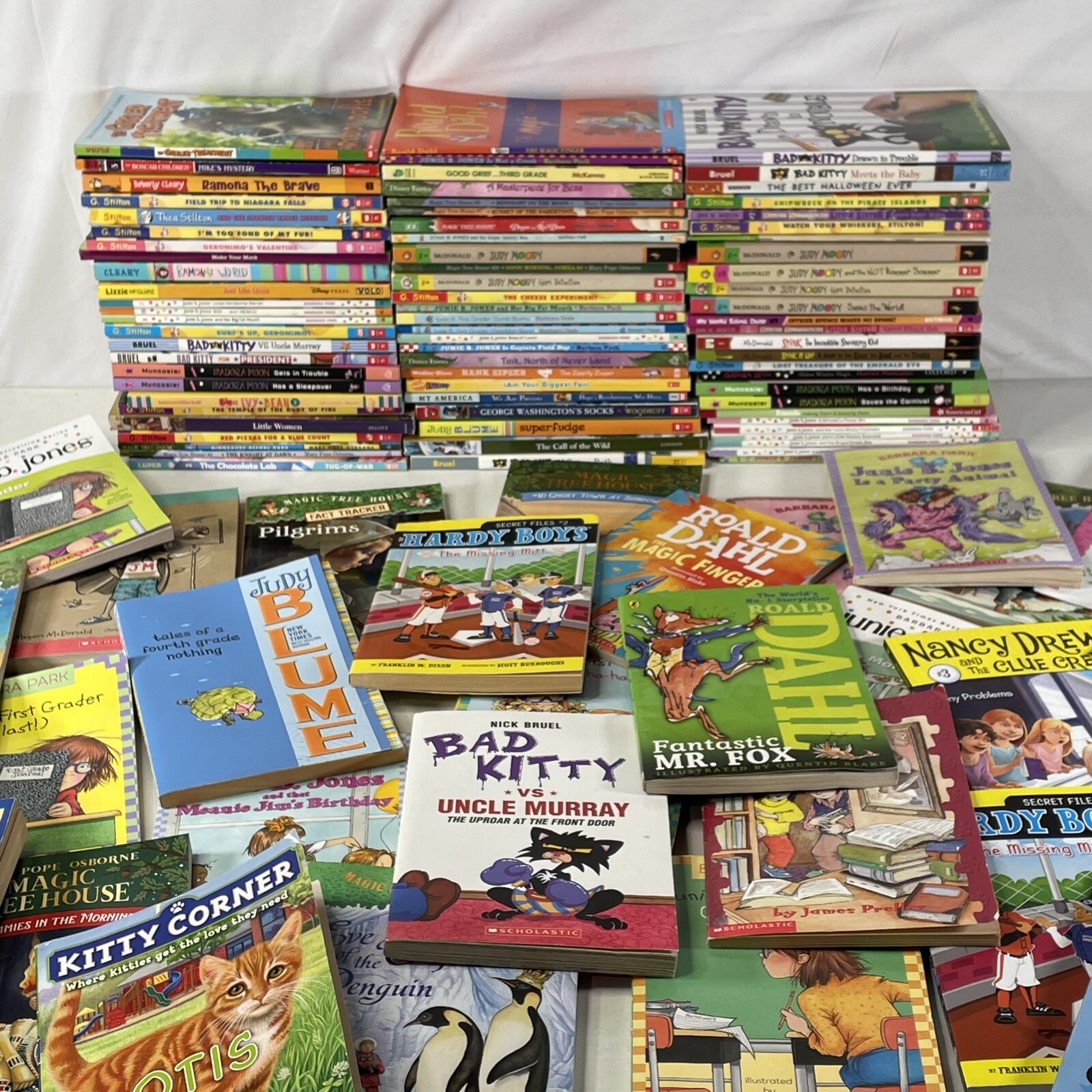 Bulk/Huge Lot of 50 Children&rsquo;s Kids Chapter Books – Random – Free Shipping!