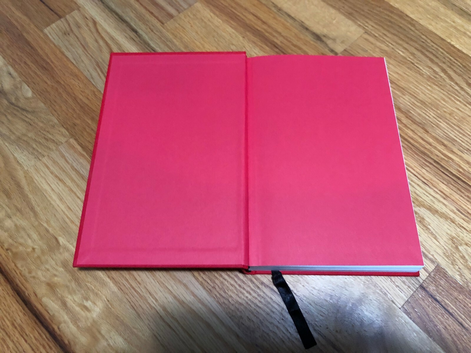 « Marley & Me »: 1st Edition by Grogan, John (Illustrated) 306 pages 2006