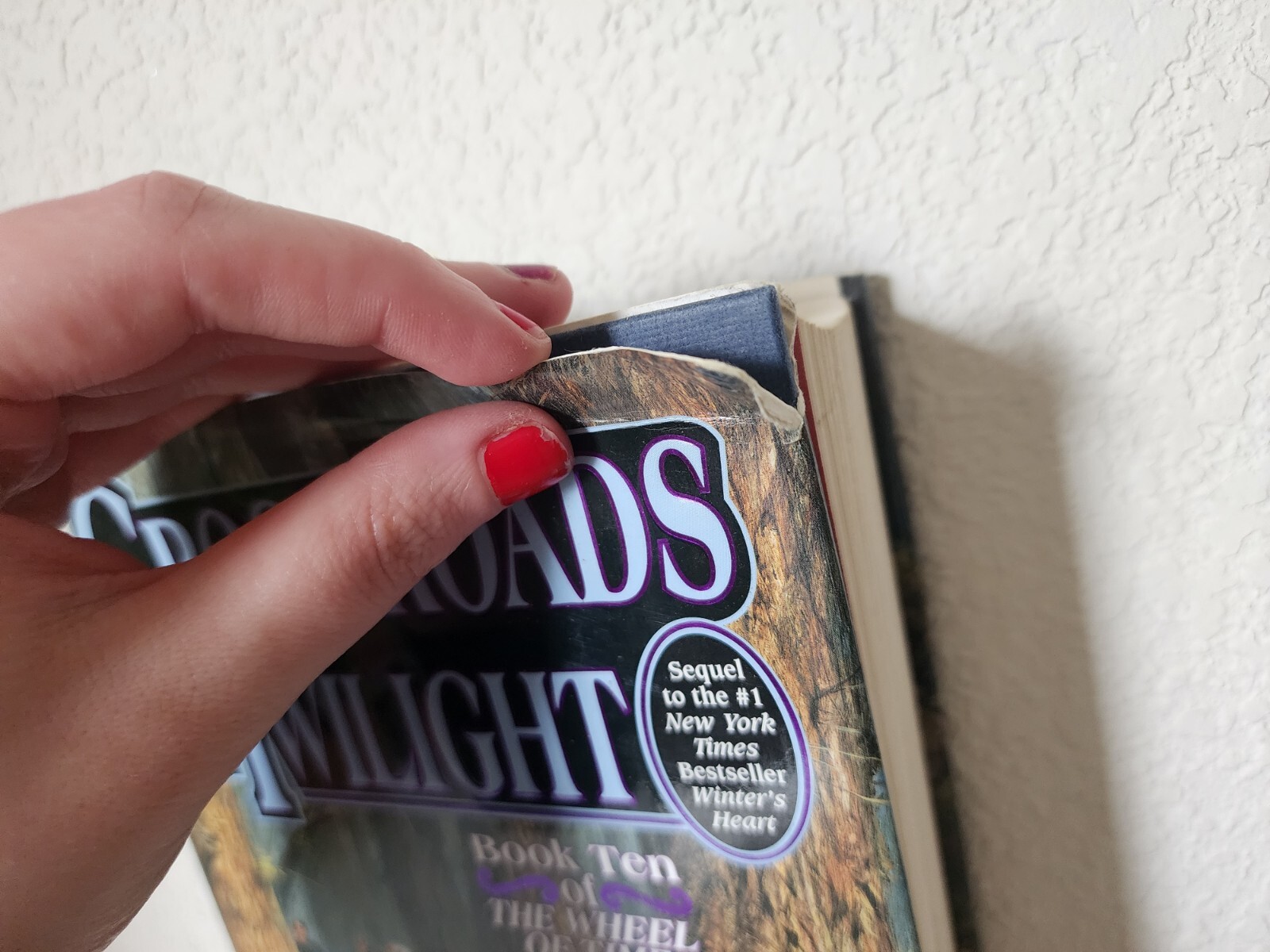 Wheel of Time Ser.: Crossroads of Twilight : Book Ten of &lsquo;the Wheel of Time&rsquo; by