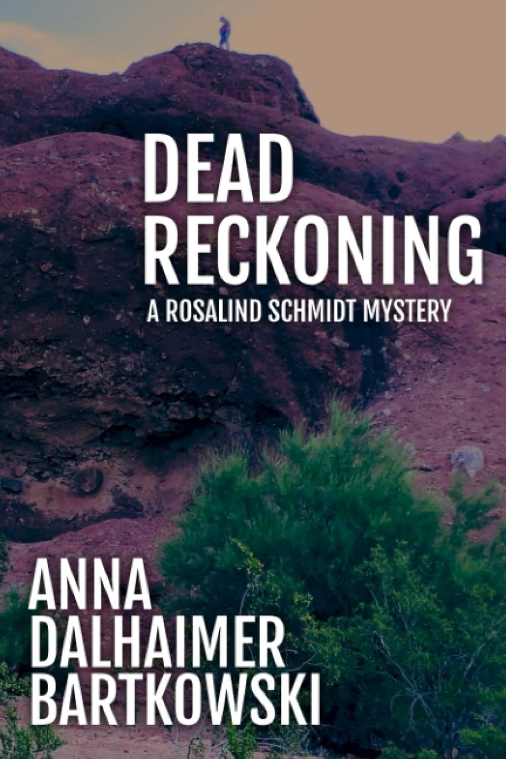 DEAD RECKONING: A Rosalind Schmidt Genealogical Mystery Bartkowski, Anna Dal…