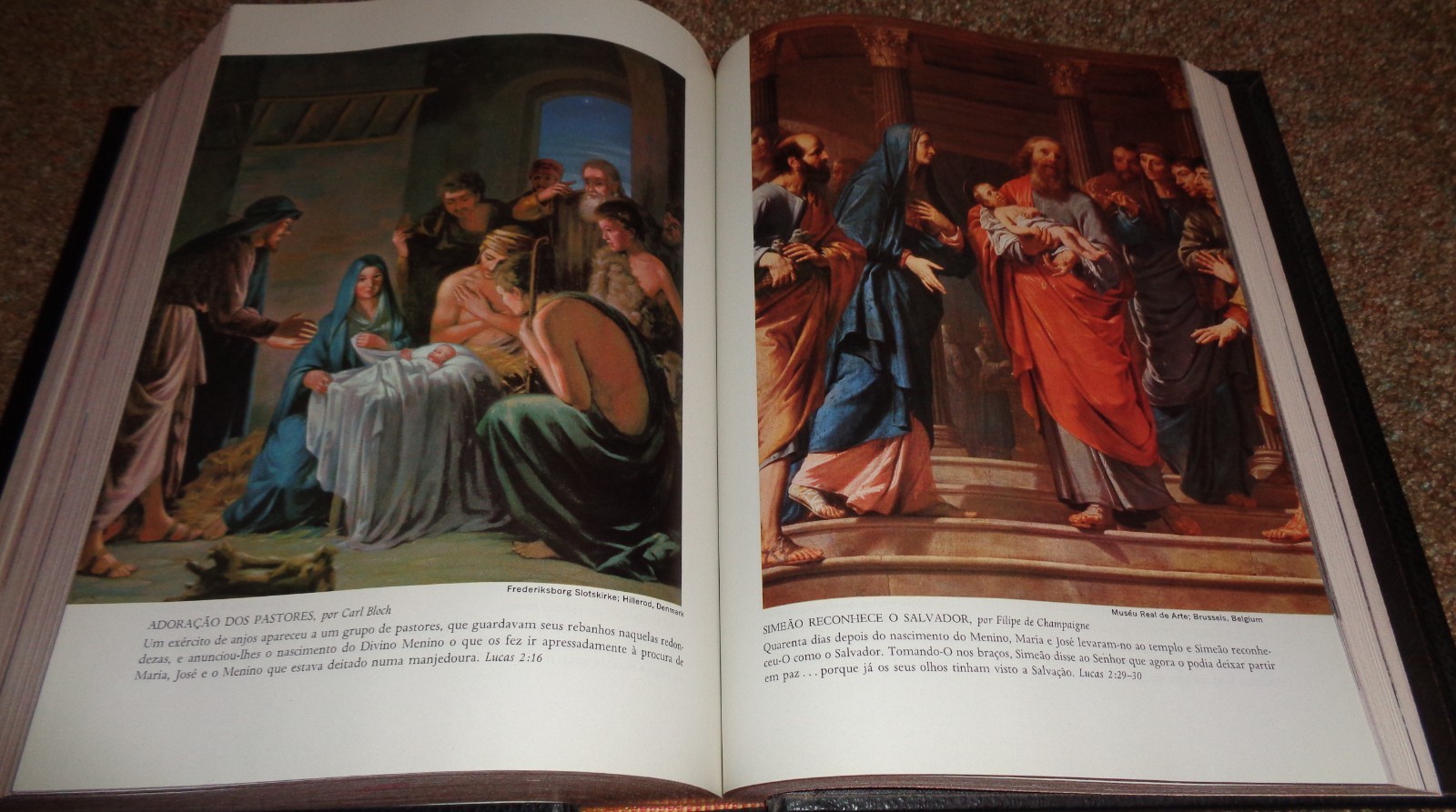 La Sagrada Biblia Edicao Da Palavra Viva Collectible Portuguese Bible (NICE)