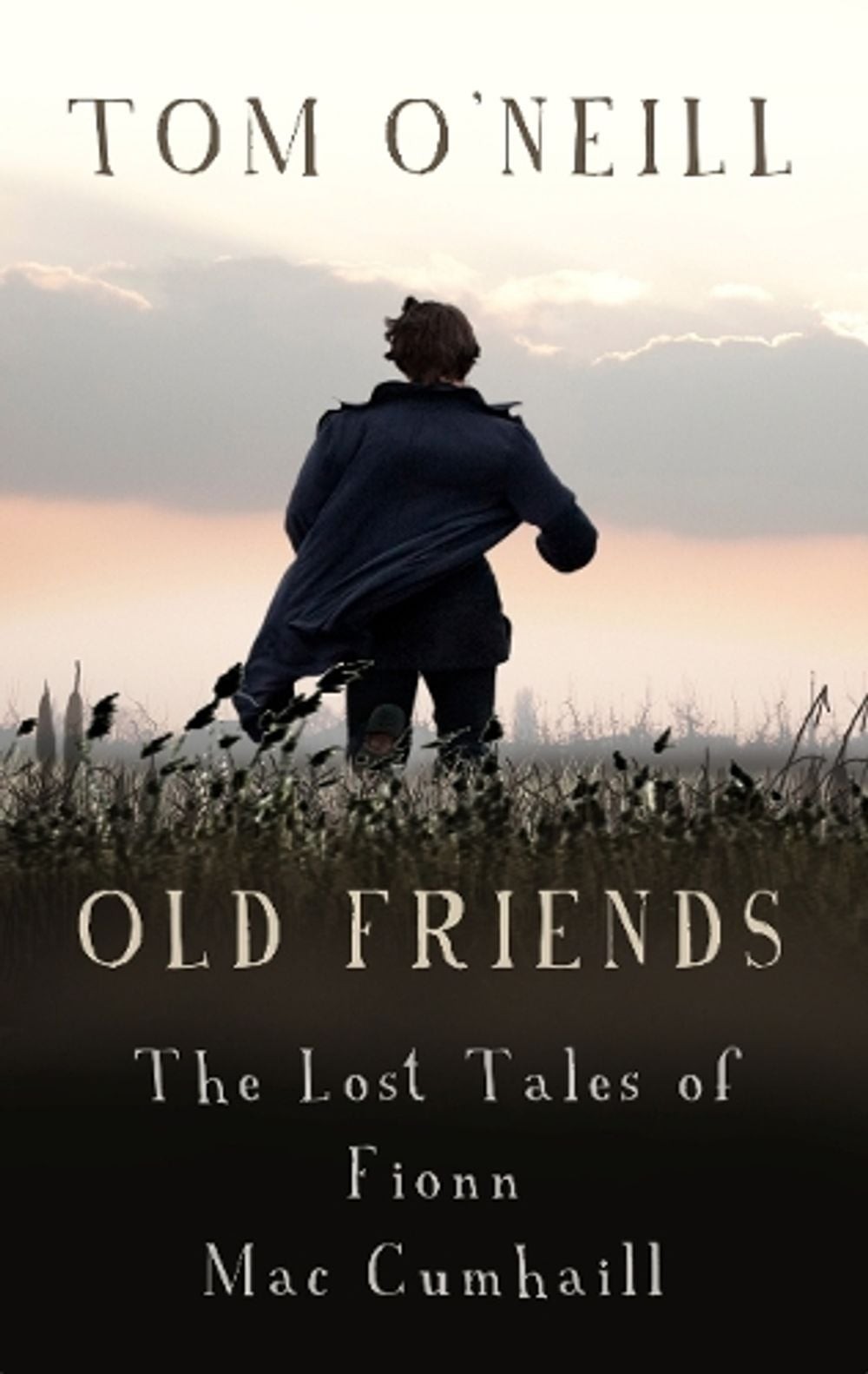 Old Friends: The Lost Tales of Fionn Mac Cumhaill by Tom O&rsquo;Neill (English) Paper