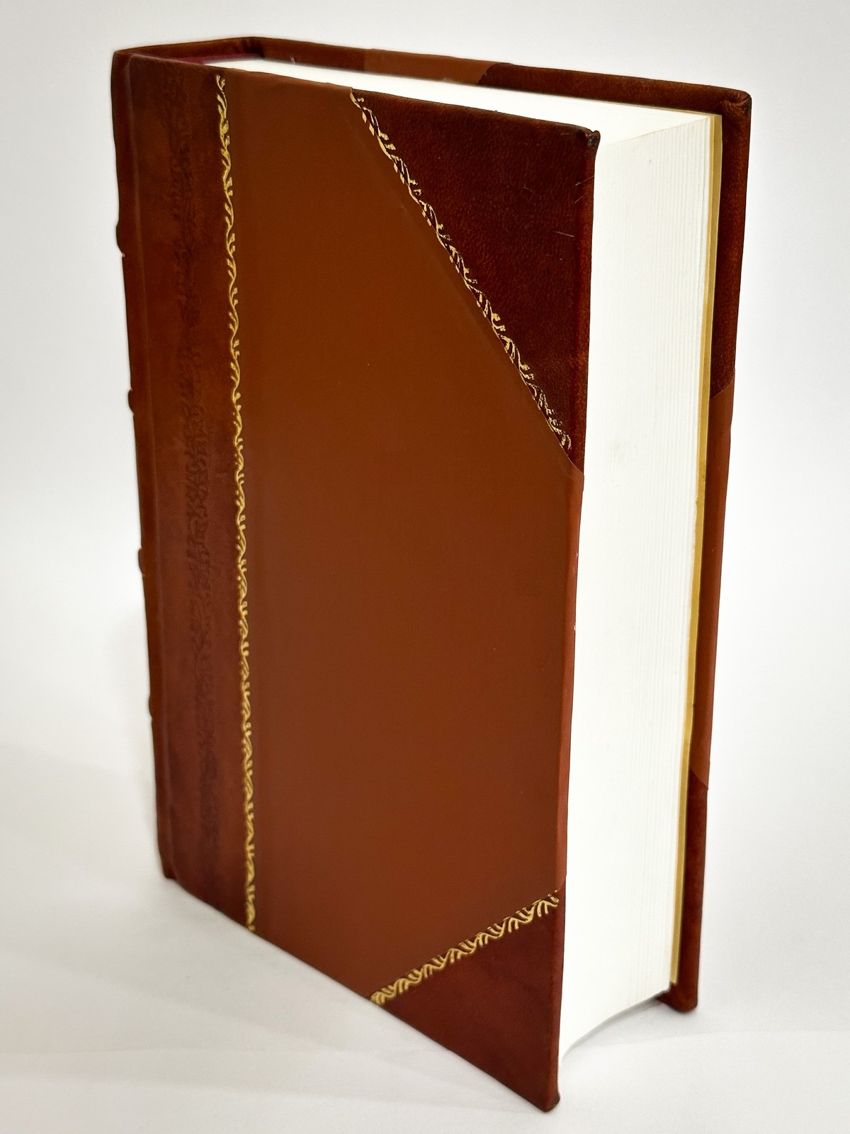 Irish English Dictionary by Rev. Patrick S. Dinneen [Leather Bound]