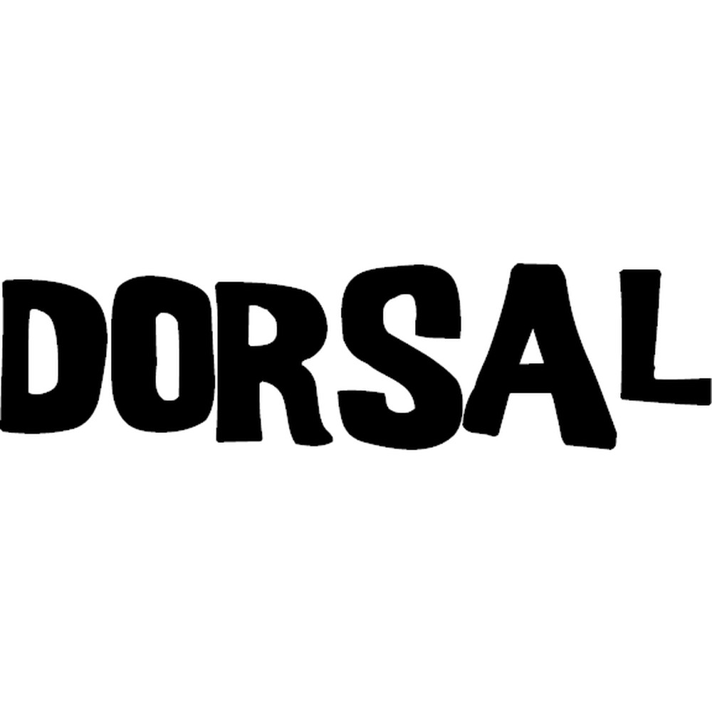 DORSAL Aero Roof Rack Pads for Crossbars – Set of 2 for Surfboards Kayaks SUP Sn