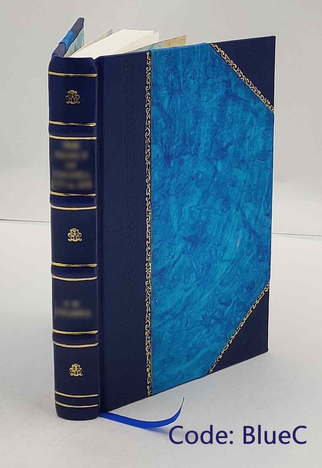 Die Bilanzen der Aktiengesellschaften und der Kommanditgesellsch [Leather Bound]