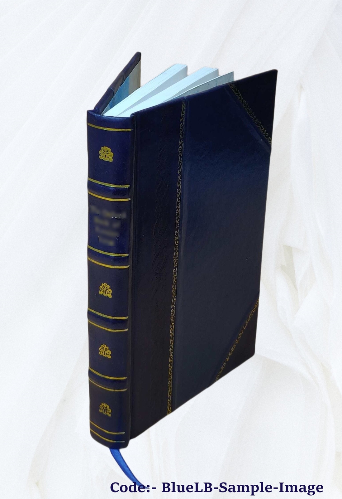 Actinida. Bd. 5,[2] 1890 by Danielssen, D. C. [Leather Bound]