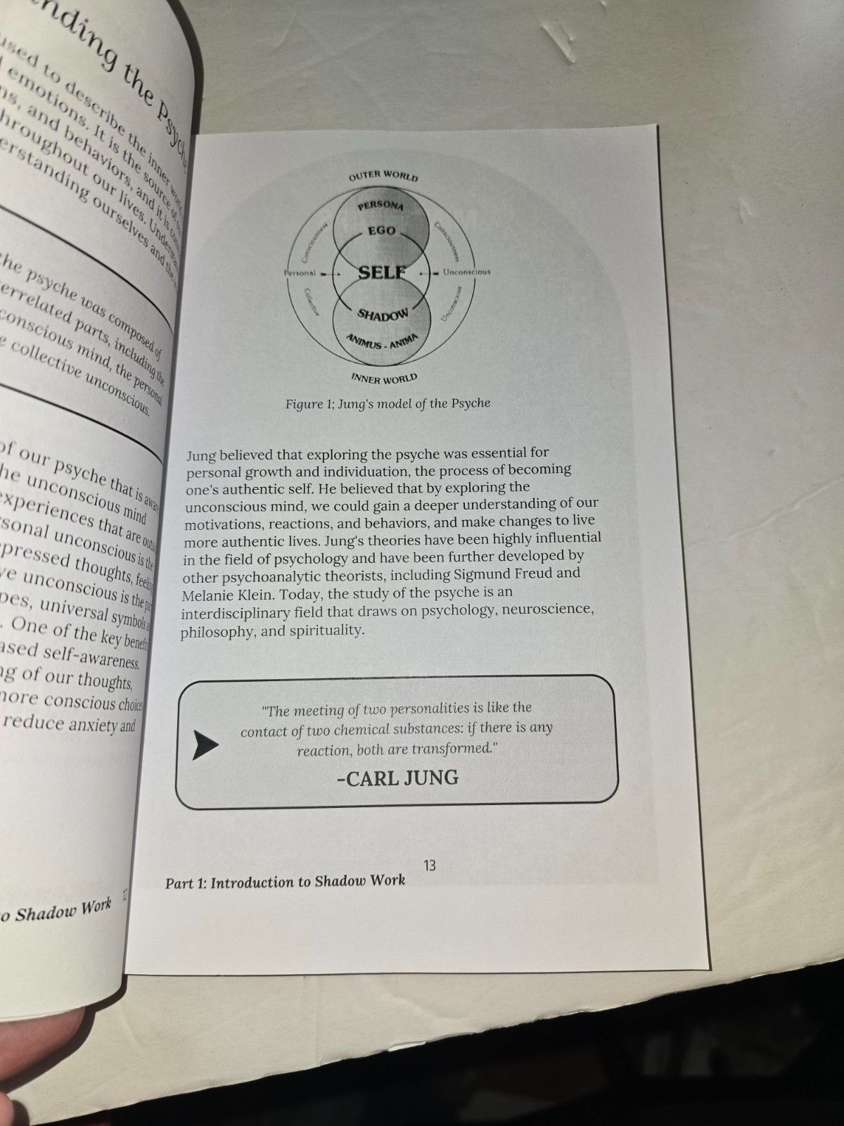 The Shadow Work Journal A Guide to Integrate and Transcend your Shadows N