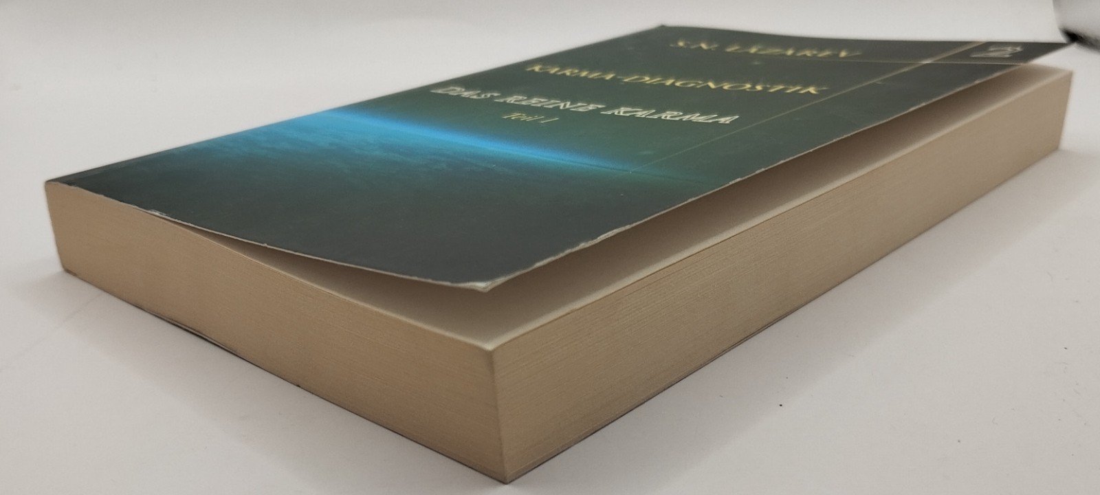 Karma-Diagnostik 2: Das reine Karma Teil 1 | Buch | Zustand sehr gut
