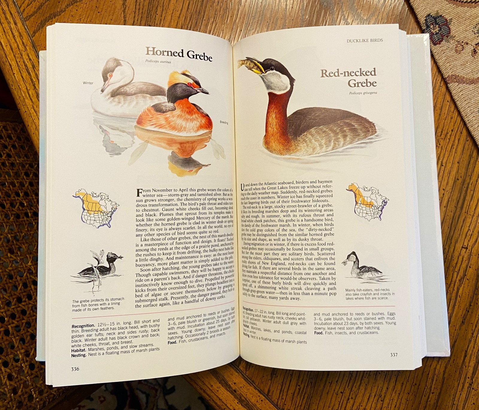 Vintage Reader&rsquo;s Digest « BOOK of NORTH AMERICAN BIRDS », hardcover, 576 pgs, Mint