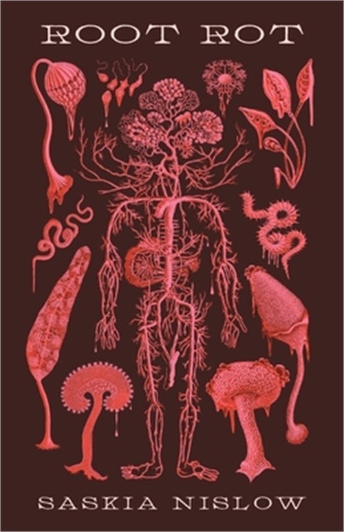 Root Rot (Paperback or Softback)