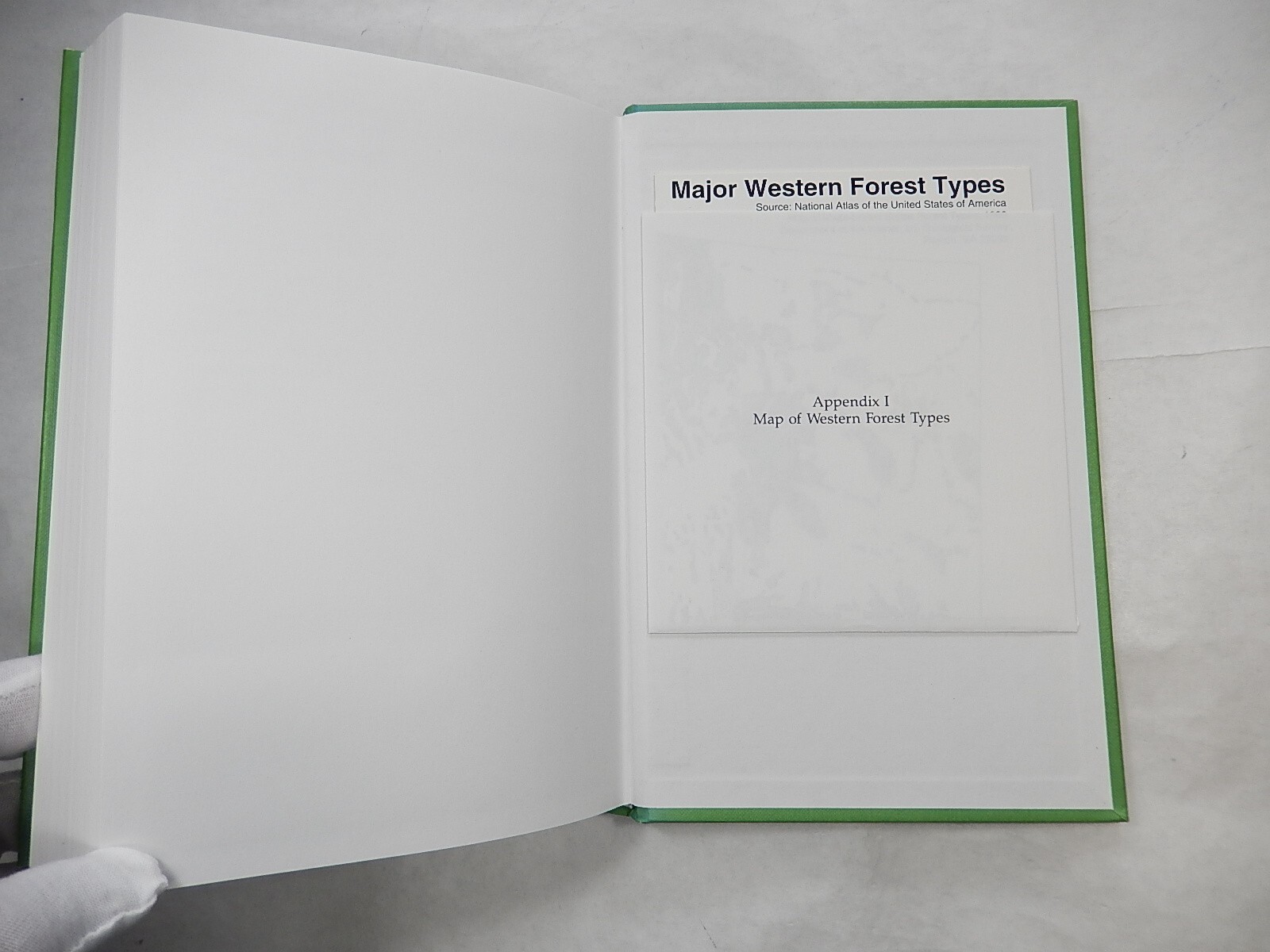 The Response of Western Forests to Air Pollution by D. Brinkley, 1992, Hardcover