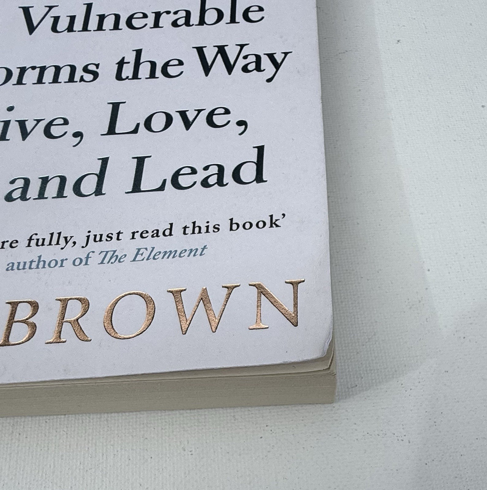 Lot of 2 Self Help Books Simon Sinek Start with Why & Brene Brown Daring Greatly