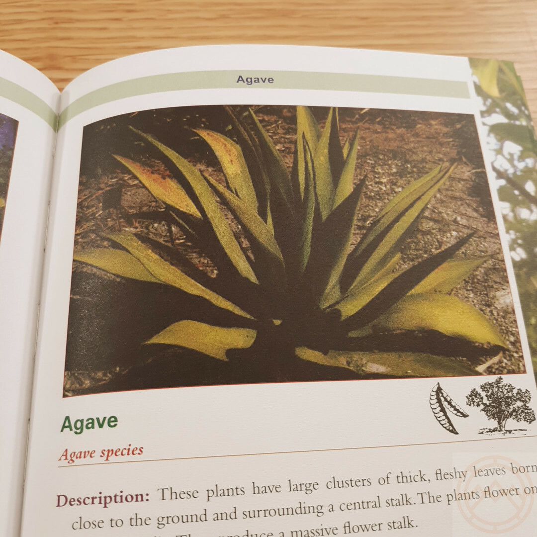 Complete Guide to Edible Plants Book Army Dept Medicine Poison Color Photos