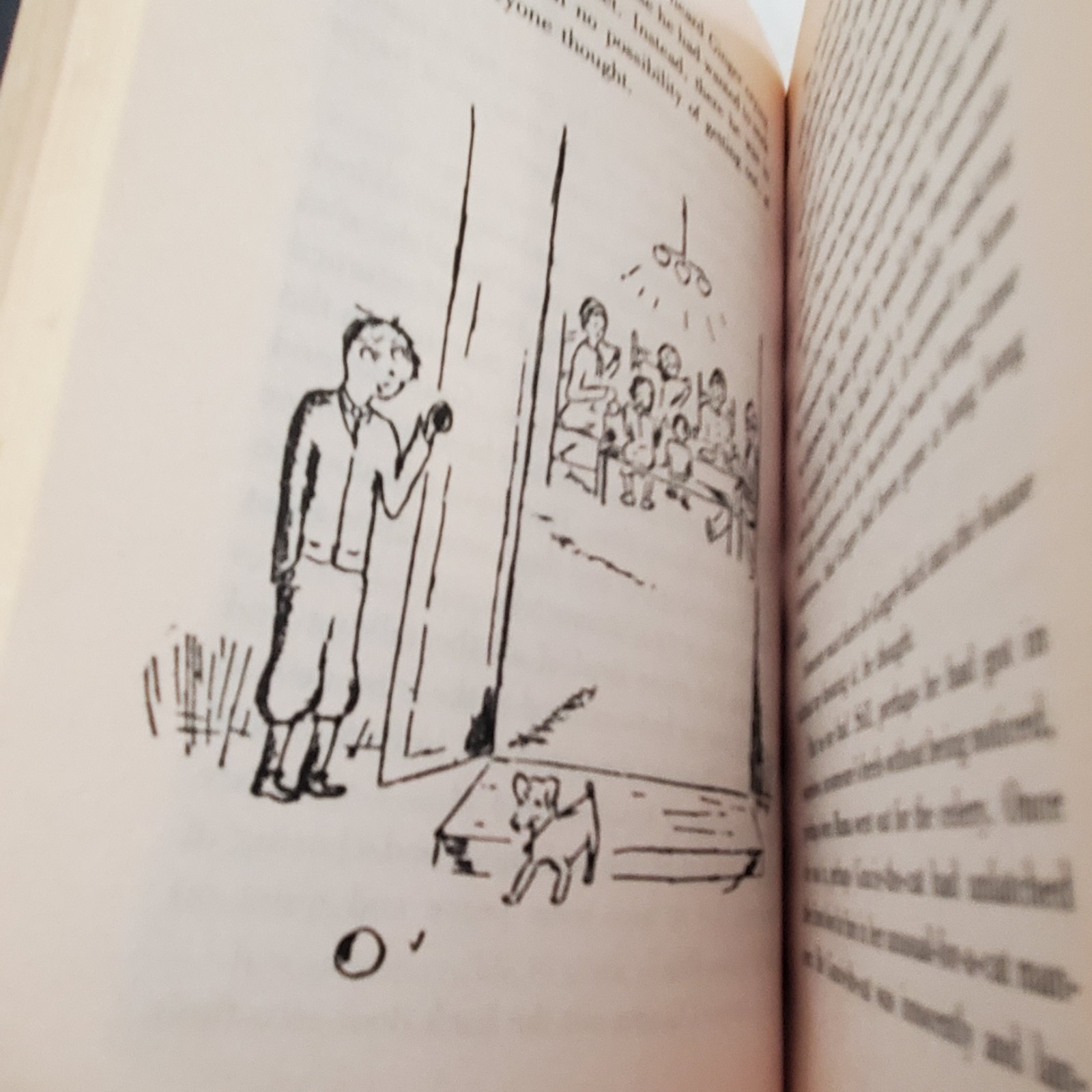 Ginger Pye by Eleanor Estes (1991, Paperback) Newberry Medal Winner 306 Pages