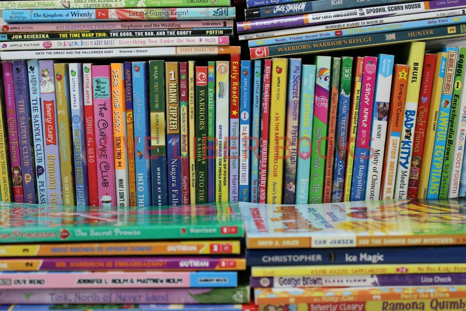 Bulk/Huge Lot of 50 of Children&rsquo;s Kids Chapter Books – Random – Free Shipping!