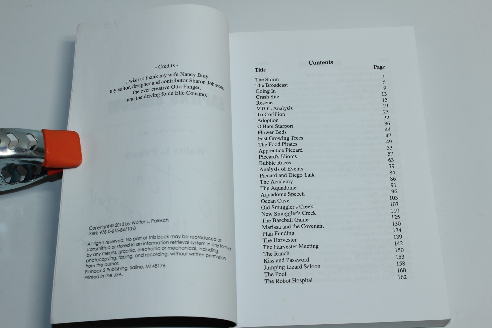 Sapiens&rsquo; Shadow by Walter Palesch (2013) SIGNED
